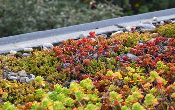 the cost of Lower Boddington green roof installation